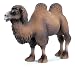 Two Humped Camel Toy, 4.80 