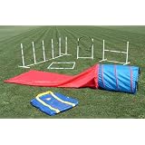Agility in the Bag