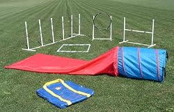 Agility in the Bag