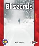 Cover for 9781580138673