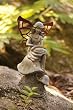 Primish Solar Fairy Light Primish Solar Fairy Light