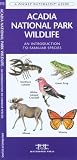 Acadia National Park Wildlife: An Introduction to Familiar Species (Ecotourism: Parks & Sanctuaries Guides)