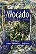 Avocado: Botany, Production and Uses