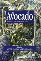Avocado: Botany, Production and Uses