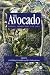 Avocado: Botany, Production and Uses