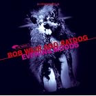 Click here to buy Evening Moods by Ratdog and Bob Weir .
