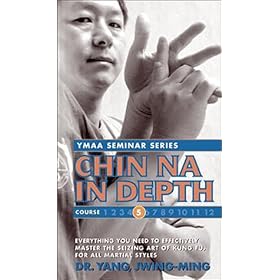 Chin Na In Depth 5