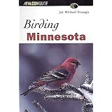 Birding Minnesota