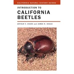 Introduction to California Beetles (California Natural History Guides)