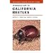 Introduction to California Beetles (California Natural History Guides)