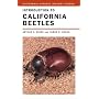Introduction to California Beetles (California Natural History Guides)