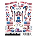 Stick-On Decal, Born in USA