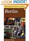 Beetles : A Field Guide to the Beetles of North America