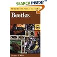 Beetles : A Field Guide to the Beetles of North America by  Richard E. White, Roger Tory Peterson, and Peterson