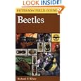 Beetles : A Field Guide to the Beetles of North America