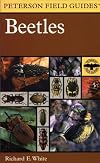 A Field Guide to the Beetles of North America: Text and Illustrations (Peterson Field Guide Series)