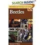 Beetles : A Field Guide to the Beetles of North America