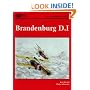 Brandenburg D.I. (Great War Aircraft in Profile, Volume 2)