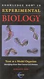 Model Organisms Yeast as a Model Organism