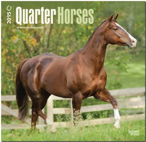 Quarter Horses 2015 Square 12x12