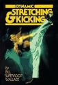 Dynamic Stretching and Kicking