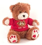 TEDDY BEAR CAMERA COLOR 2.4GHZ