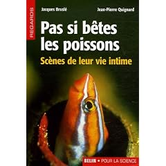 Pas si b�tes les poissons : Sc�nes de leur vie intime