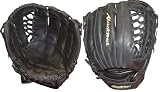 AJB-74REG Fast Pitch Design Series 12.0 Inch Fast Pitch Softball Glove Right Hand Throw