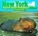New York Facts and Symbols (Mcauliffe, Emily. States and Their Symbols.)