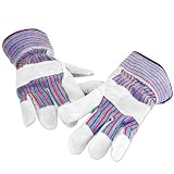 12 Pack of Palm Leather Gloves