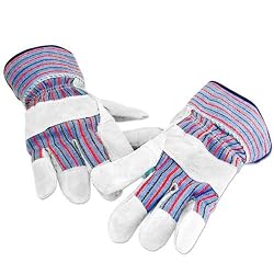 12 Pack of Palm Leather Gloves