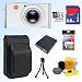 Leica D-Lux 3 10 MegaPixel Digital Camera - Silver