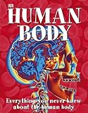 Human body