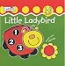 Little Ladybird 123 (Touch & count)
