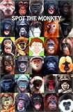 Spot the Monkey [WG-1387] [�|�X�^�[]
