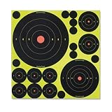 Birchwood Casey Shoot-N-C Variety Pack, 50 Bullseye Targets + 50 Pasters