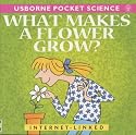 What Makes a Flower Grow? (Usborne Pocket Science)