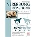 Meine Empfehlungen f�r Hundeb�cher