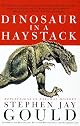 Dinosaur in a Haystack: Reflections in Natural History