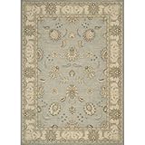 Nourison Persian Empire Aqua Oriental Rug