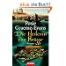 Die Heilerin von Br�gge: Roman