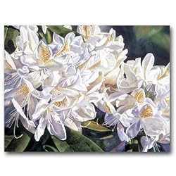 White Rhododendron, Lavender Shadows - Gift Enclosure Cards (set of 12)