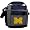 Michigan Wolverines