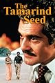 play video on Amazon Instant Video