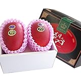 産直だより　宮崎県ＪＡ宮崎中央　太陽のタマゴ　2Ｌサイズ×2玉