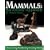 Mammals: An Artistic Approach