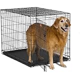 MidWest 1542 iCrate Single-Door Pet Crate 42-By-28-By-30-Inch