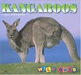 Buy : Kangaroos (Wild Ones)