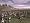 Medieval II: Total War (PC DVD)