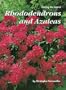 Making Most of Rhododendrons and Azaleas